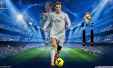 开云体育APP下载-哈斯奇迹夜，皮亚斯特里刷新纪录率队横扫阿斯顿马丁