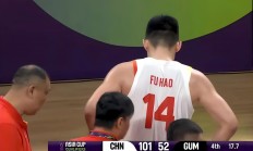 开云官网-北京队再次击败辽宁队，实力超群