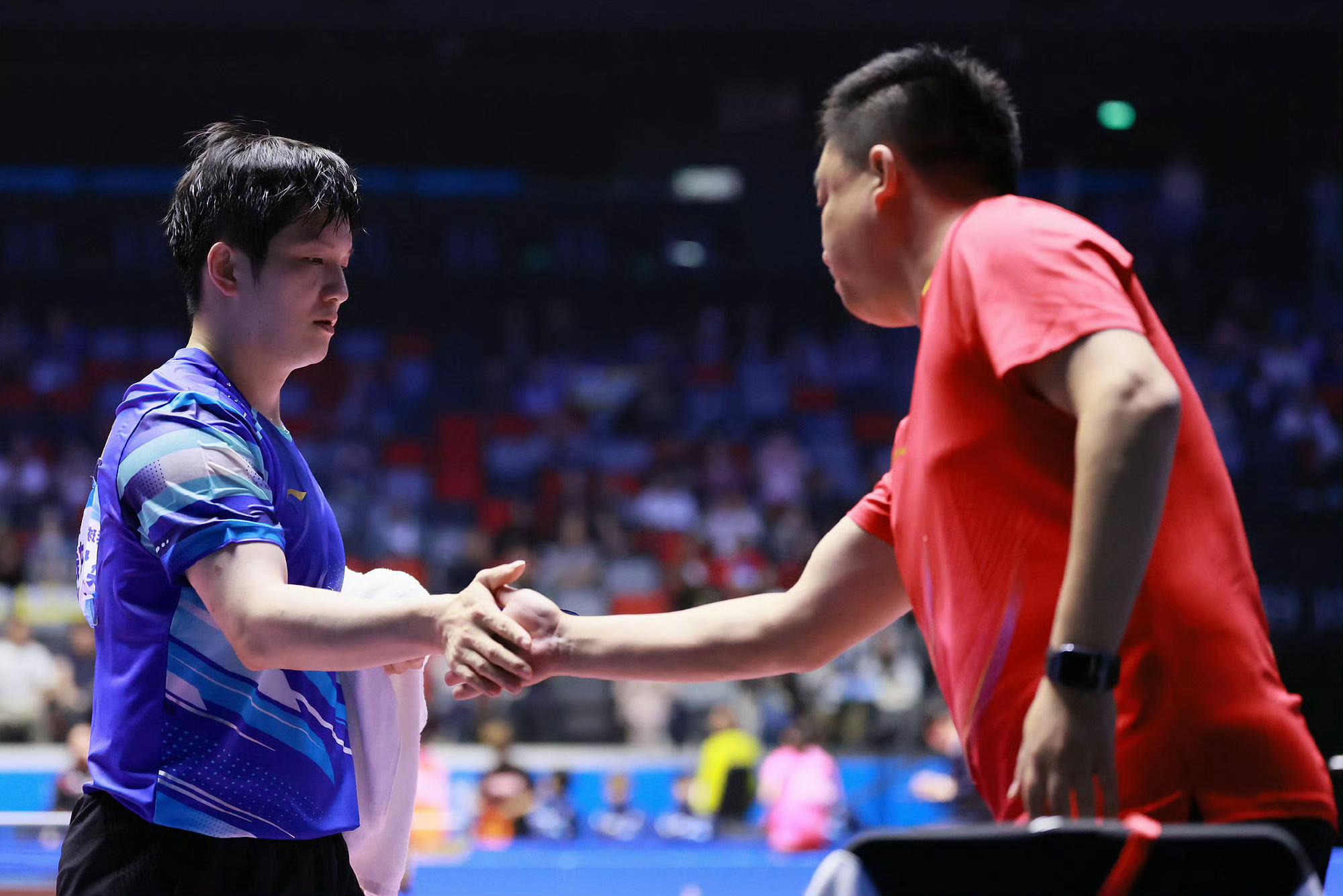 瑞典乒乓球队血洗韩国乒乓球队，樊振东统治全场的简单介绍