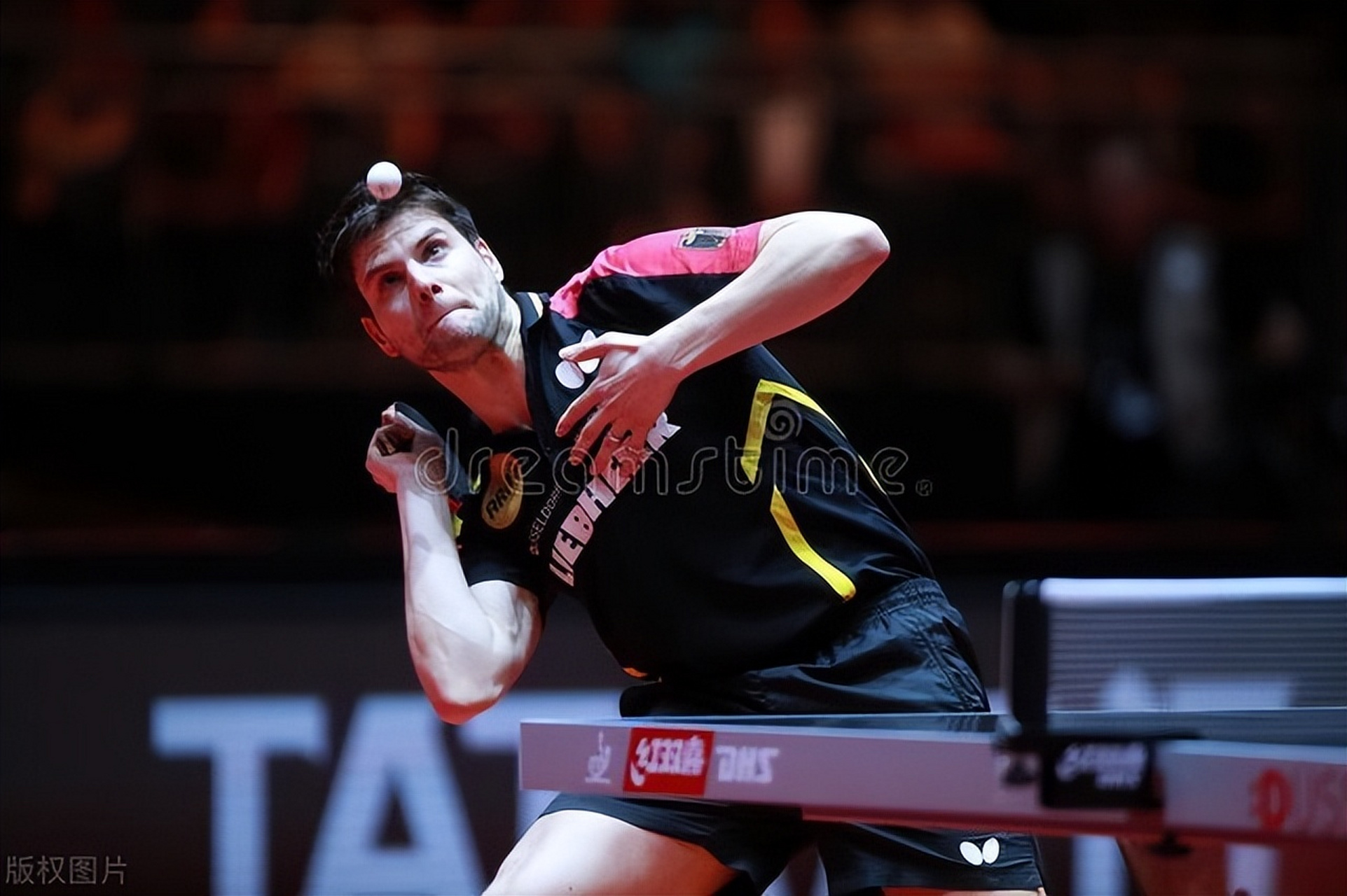 英国乒乓球队强势波兰乒乓球队,奥恰洛夫送出助攻的简单介绍 英国乒乓球队强势波兰乒乓球队,奥恰洛夫送出助攻的简单介绍