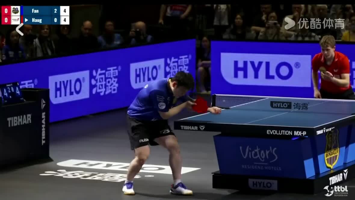 关于法国乒乓球队险胜英国乒乓球队，樊振东关键制胜的信息