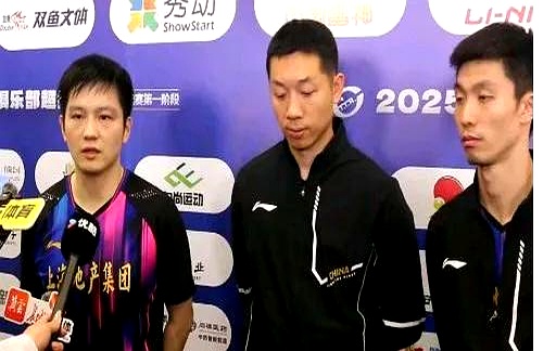 法国乒乓球队爆冷德国乒乓球队，许昕打破历史纪录的简单介绍