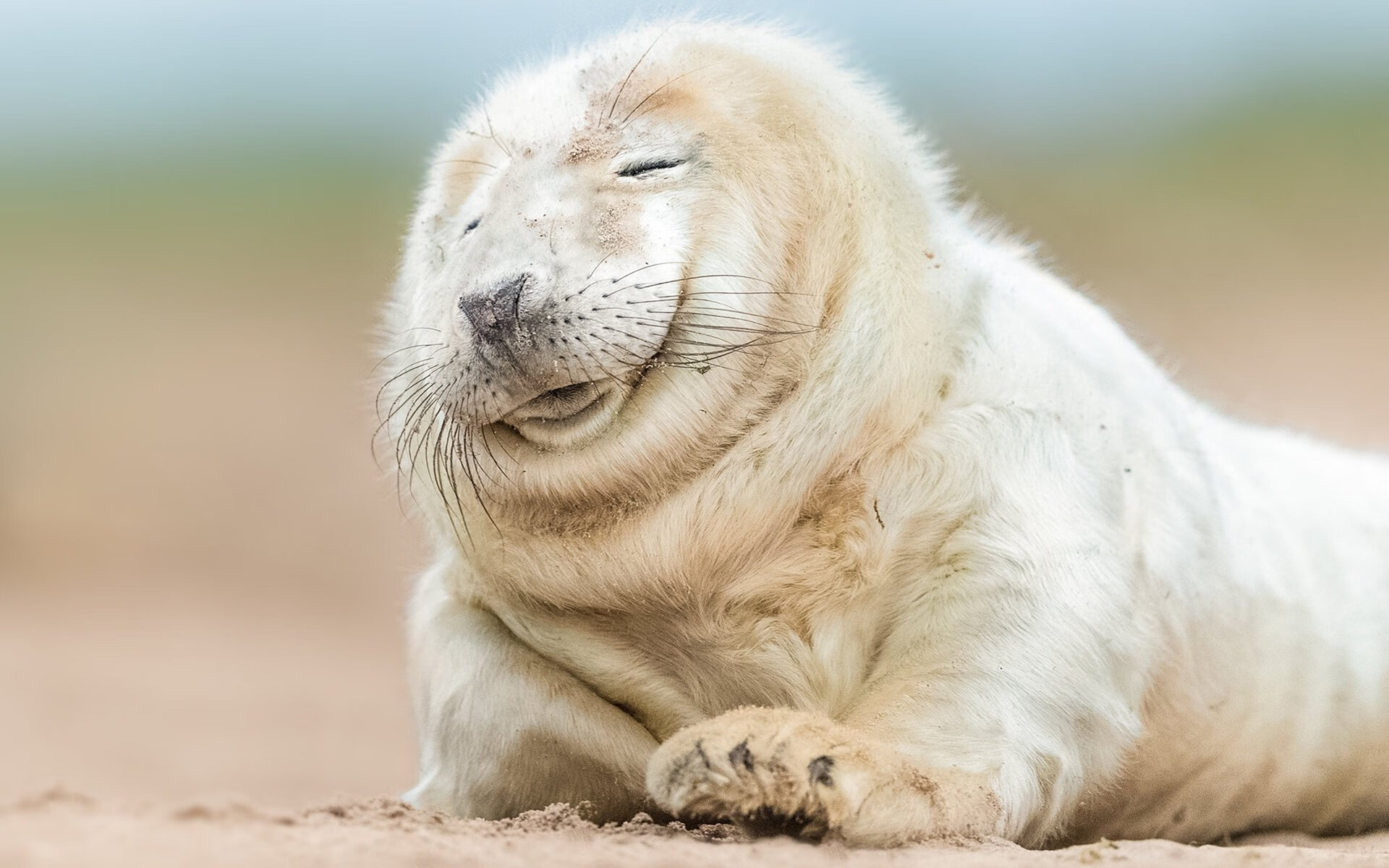 特奥攻防转换核心，牙买加绝杀苏格兰，一场战术与意志的较量