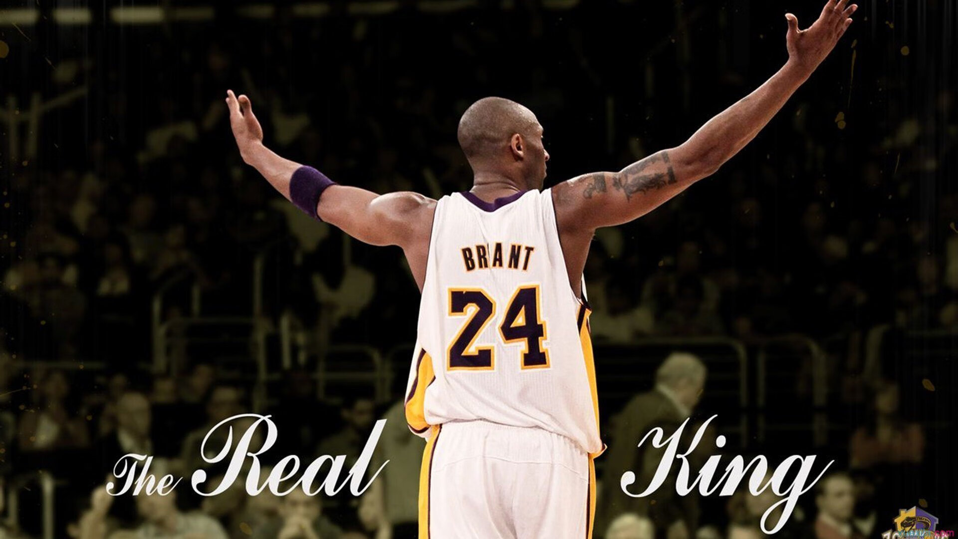 杰伦·格林，大场面先生！魔术制霸吉林队背后的孤胆英雄